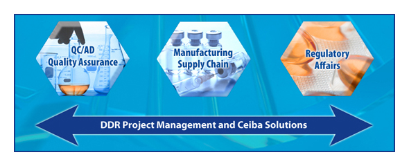 DDR Project Management ant Ceiba Solutions